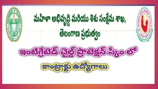 Contract Basis Jobs in Womens Development and Child welfare Department, Hyderabad.Telangana..