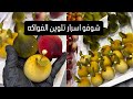 أسرار تلوين الفواكه بالتفصيل