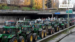 Les raisons de la colère des agriculteurs