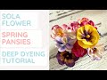 How to dye sola wood flowers | Spring Pansies