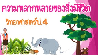 วิทย์ป.4|EP:1|ความหลากหลายของสิ่งมีชีวิต