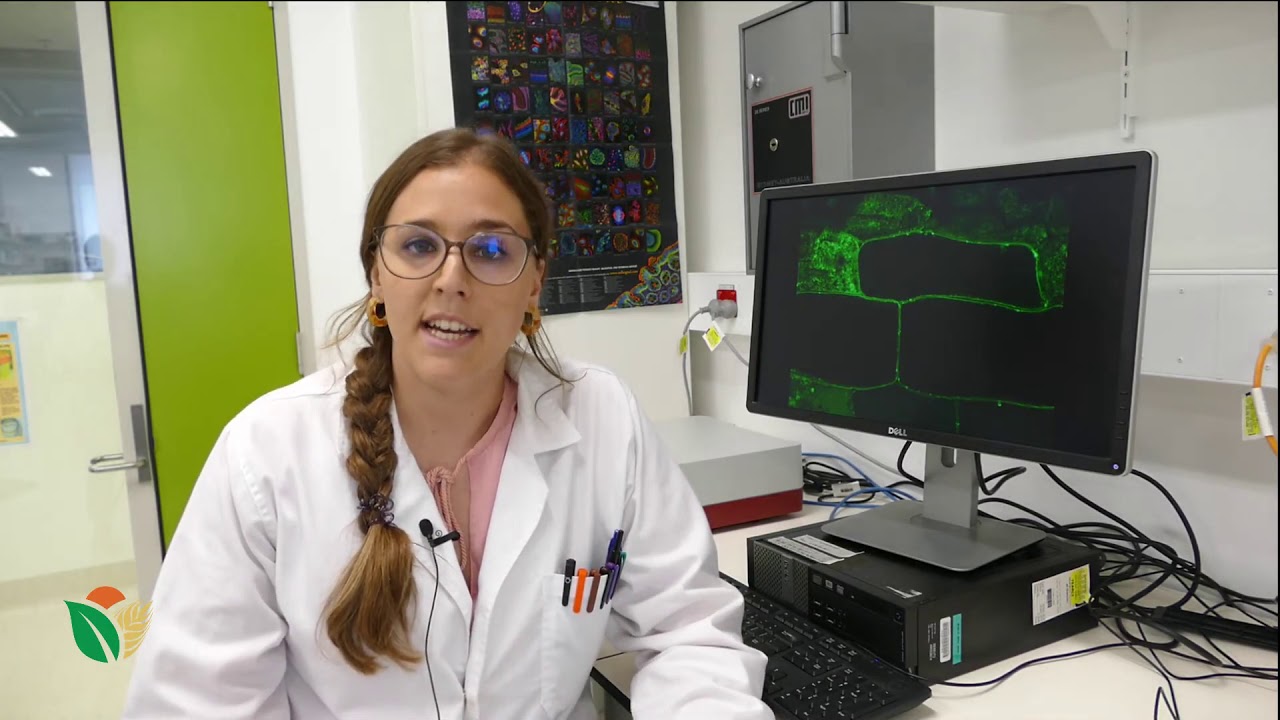 ⁣Using confocal microscopy to find and identify aquaporins | Microscopes and cell theory | meriSTEM