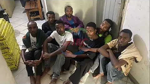 Immigration Department Apprehends 24 Ethiopians in Vubwi and Kazungula Operations