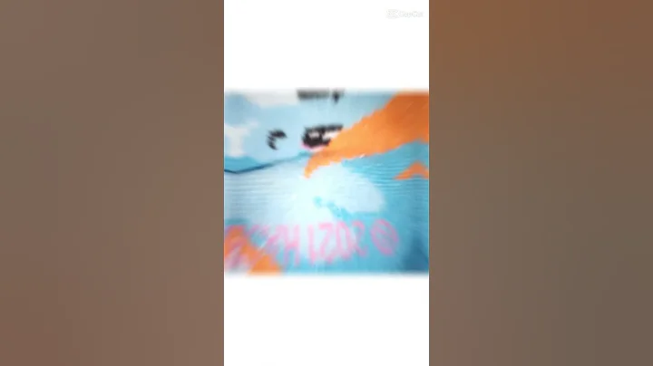 a pony sock