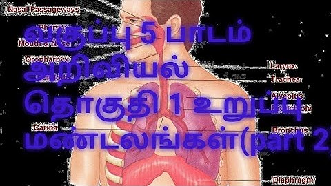 5th std Science/Term  1/Organ system Part 2 with one mark