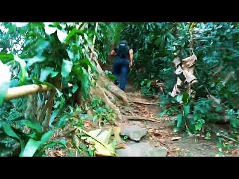 Mount Makiling adventure