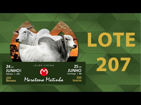 LOTE 207