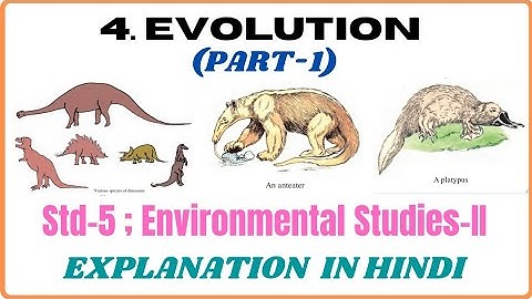 4. Evolution (Part-1) Std-5 EVS-II Explain In Hindi By Vaibhav Sir Maharashtra State Board