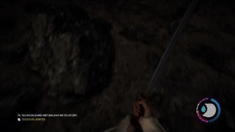 The Forest going to the bottom cave with turtle shells