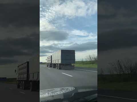 МАЗ 6312 Зерновоз (Лайнер по Полной) #PEREGRUZ