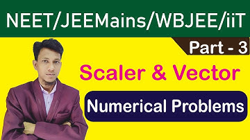 Scaler And Vector Numerical Problems Class 11 part 3 | In Bengali | NEET In Bengali| JEE Main |WBJEE