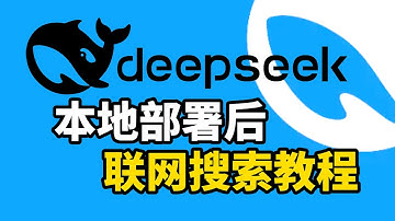 Deepseek-R1本地免费部署后 联网搜索使用教程,超简单!(CC字幕)