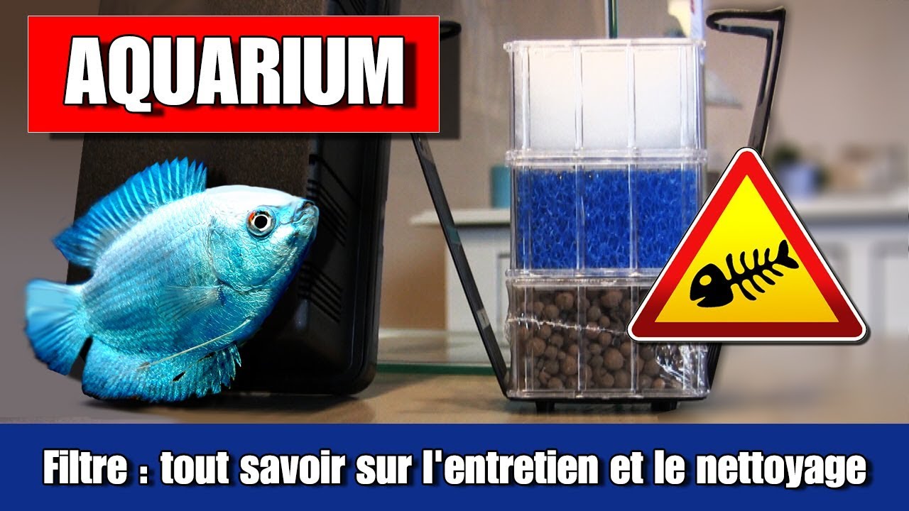 Filtre intérieur aquarium pompe aquarium pompe filtrante 450L/h 6W pour  aquarium