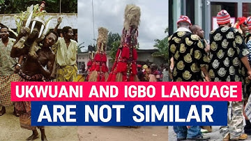 Ukwuani and Igbo are not similar or different languages from eachother. Both of them are the same.