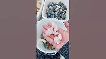 COME SEE WHAT GOES IN DECLAN