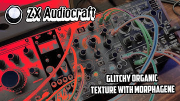 Glitchy Organic Texture with Make Noise Morphagene