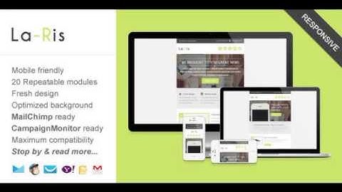 Preview LaRis Minimalist Business Email Template