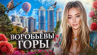 картинка: В гостях у Маши. Топовая квартира в Москве 400 кв м. ЖК Воробьевы Горы