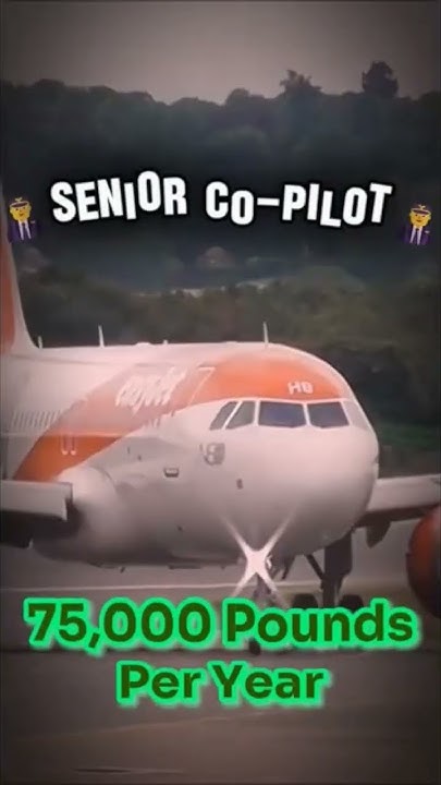 How Much Does 310 Pilot Make On Youtube How much Pilots make? - YouTube