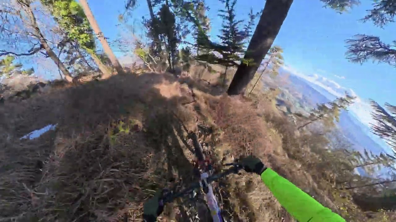 ASINO CHE VOLA E MASCHIO MONTE MORELLO MTB