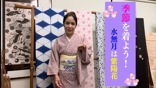 単衣の季節の染帯「紫陽花」季節を先どりして、咲いてる間はずっと着