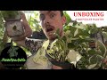 Unboxing planterareandco  5 plantes