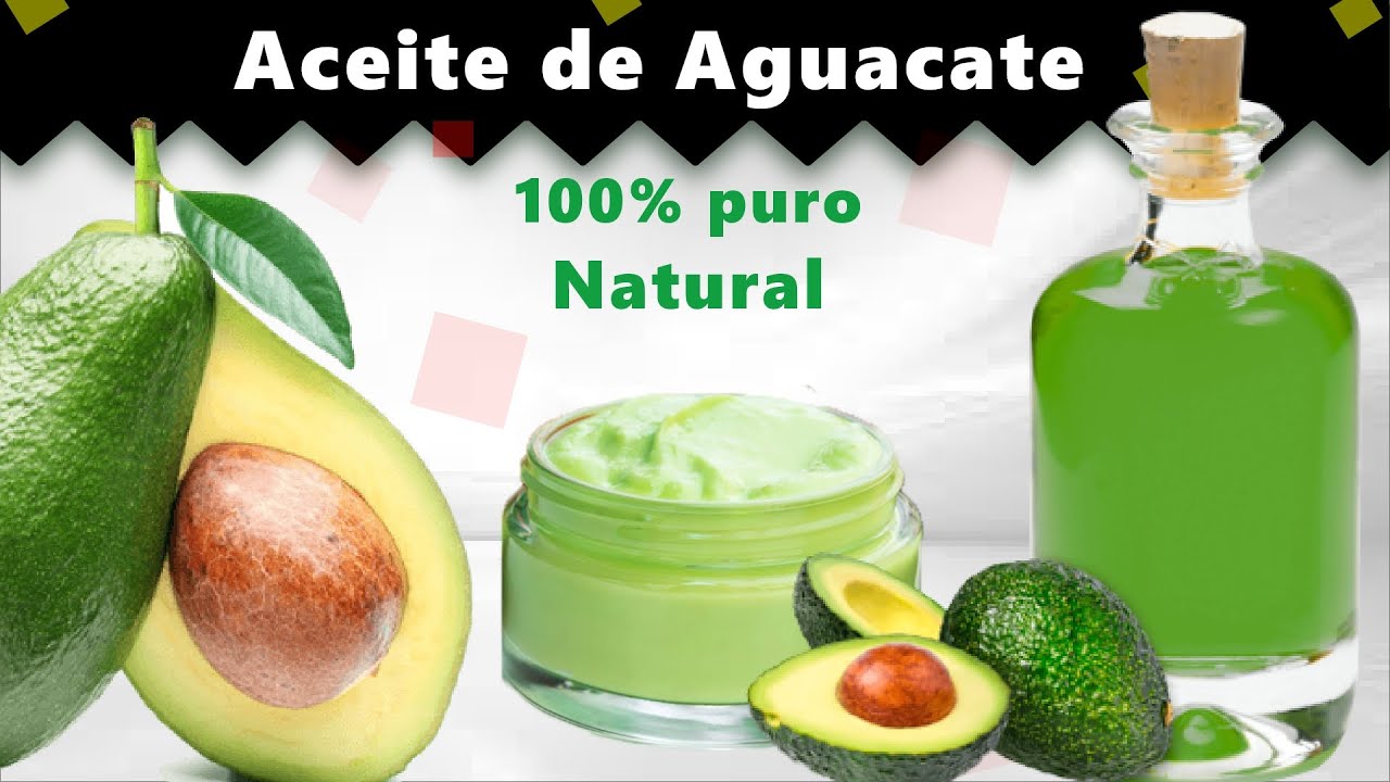 CÓMO EXTRAER ACEITE DE AGUACATE PURO 100% NATURAL🍐 Cómo Hacer Aceite de  Aguacate Prensado En Frío 