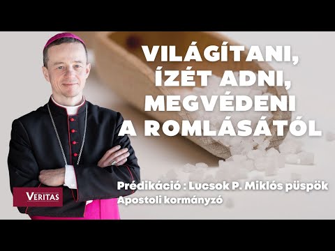 Videó: Mikor épült a kurzusos lakótelep?