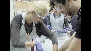 Experiential Learning in Neuroscience