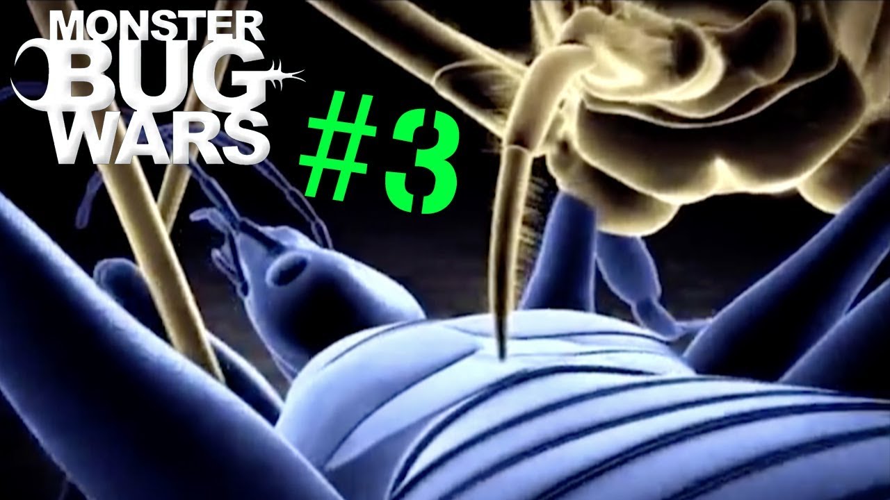 Monster Bug Wars | 3D Animation Collection #3