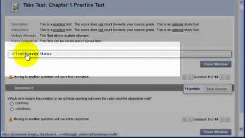 How to Take a Test in Blackboard Learn
