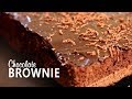 Chocolate brownie  mallika joseph food tube