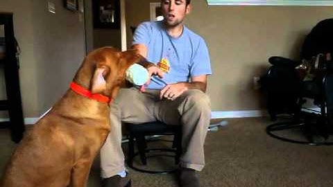 Force Fetch Session 10 27 Second One 1