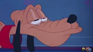 Animation Pluto. Cat Nap Pluto. Animation