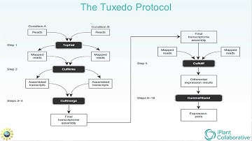 iPlant Tuxedo Protocol RNA-Seq (1 of 2)