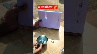 Rainbow🌈#dispersionoflight #rainbow #class8ncertscience #scienceactivity #funscience #easylearning