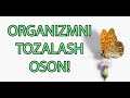 ✔️ОРГАНИЗМНИ ТОЗАЛАШнинг Энг Осон Усуллари / Organizmni tozalash