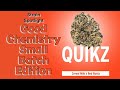 Quikz  strain spotlight