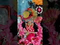 laddu gopal poshak order krne ke liye abhi contact karo🔥😘😍 #shortvideo #shorts #trending #kanha
