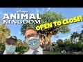 We OPENED and CLOSED Disney's Animal Kingdom! Which Is Better Matterhorn or Expedition Everest?