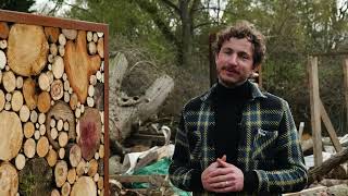 RHS Chelsea Flower Show - Royal Entomological Society by Royal Entomological Society 2,491 views 11 months ago 4 minutes, 39 seconds