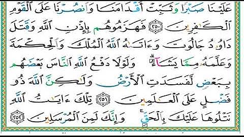 سورة البقرة الصفحة ٤١