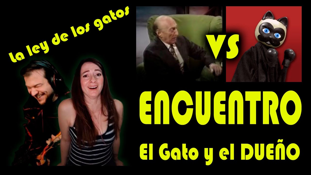Juan Verdaguer vs El Gato de Verdaguer 😺🎩| El encuentro más elegante del humor