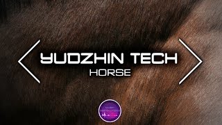 Yudzhin Tech - Horse (NEW Tech House Music 2024)