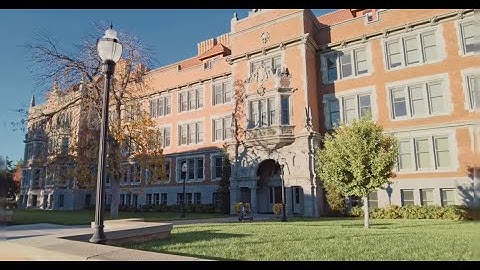 University Site Warns of “Whiteness Pandemic” Urges ‘Re-education’ #trump #obama #charliekirk #elon