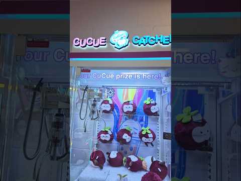 Boba CuCue video