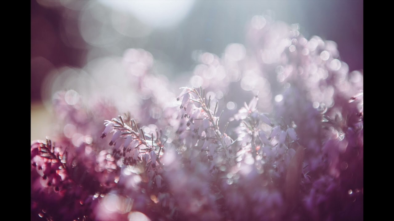 [FREE FOR PROFIT] Roy Blair x Dominic Fike Type Beat - "Yellow (interlude)" // Naphi Beats