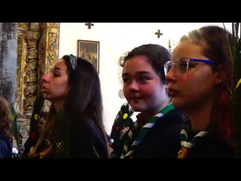 MISSA DO DOMINGO DE RAMOS - 2019 NO SANTUÁRIO DE N. S. DA CONCEIÇÃO EM ANGRA.