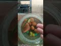 my molly fish has died🥹🥹🥹😶‍🌫️