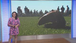 Annie Krall Sports Anchor Reel 2026